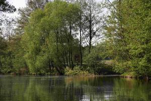 Einmündungsbereich Grönau